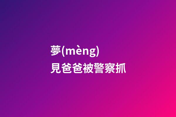 夢(mèng)見爸爸被警察抓