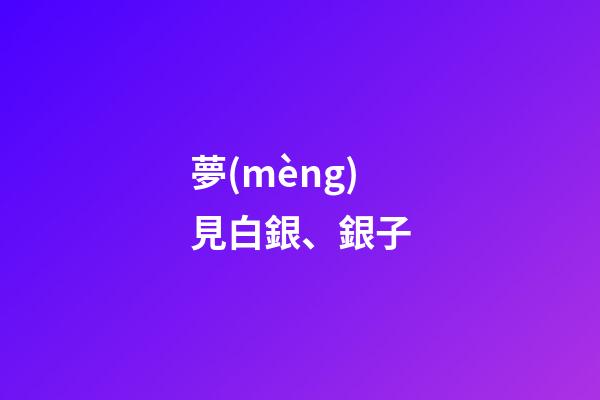 夢(mèng)見白銀、銀子