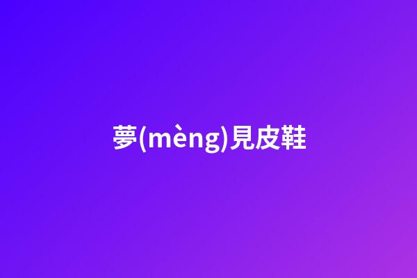 夢(mèng)見皮鞋