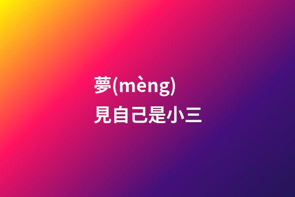 夢(mèng)見自己是小三