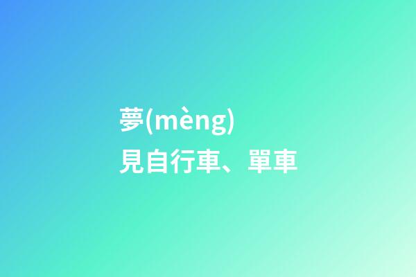 夢(mèng)見自行車、單車