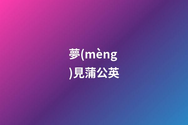 夢(mèng)見蒲公英