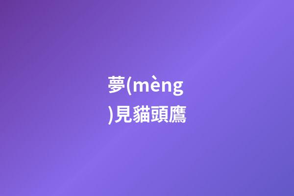 夢(mèng)見貓頭鷹
