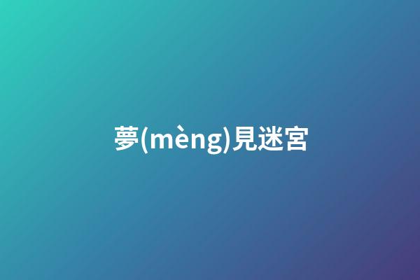 夢(mèng)見迷宮