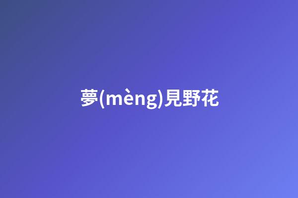 夢(mèng)見野花