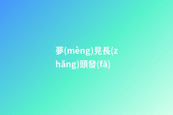 夢(mèng)見長(zhǎng)頭發(fā)