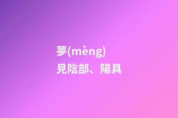 夢(mèng)見陰部、陽具