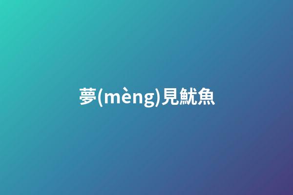 夢(mèng)見魷魚