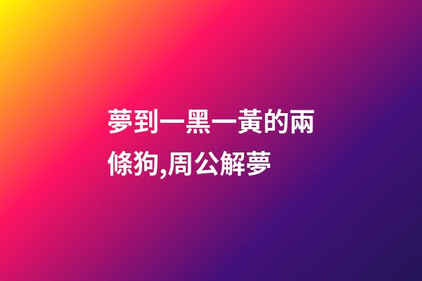 夢到一黑一黃的兩條狗,周公解夢-第1張-觀點-玄機派