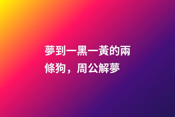 夢到一黑一黃的兩條狗，周公解夢-第1張-觀點-玄機派