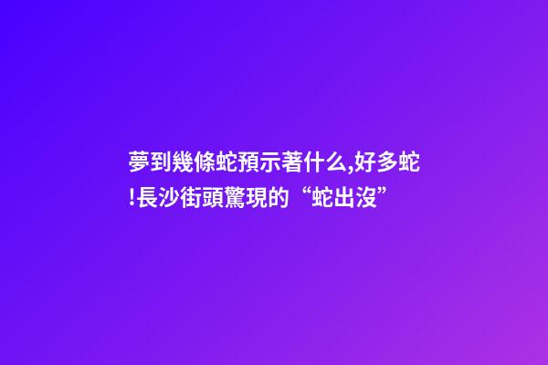夢到幾條蛇預示著什么,好多蛇!長沙街頭驚現的“蛇出沒”-第1張-觀點-玄機派