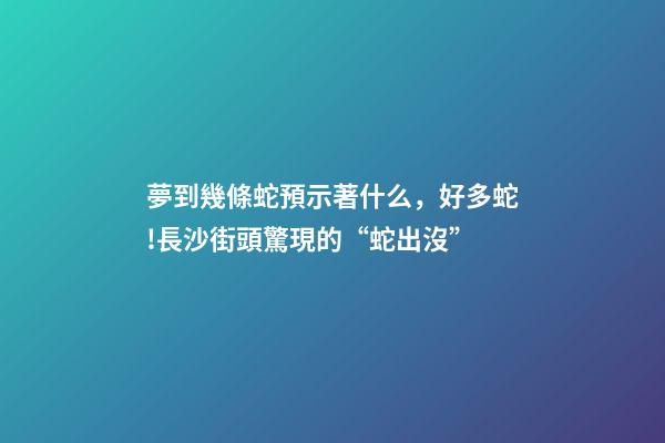 夢到幾條蛇預示著什么，好多蛇!長沙街頭驚現的“蛇出沒”-第1張-觀點-玄機派