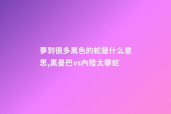 夢到很多黑色的蛇是什么意思,黑曼巴vs內陸太攀蛇-第1張-觀點-玄機派
