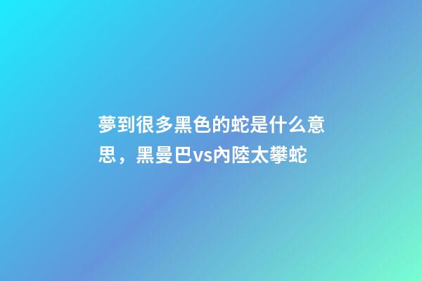 夢到很多黑色的蛇是什么意思，黑曼巴vs內陸太攀蛇