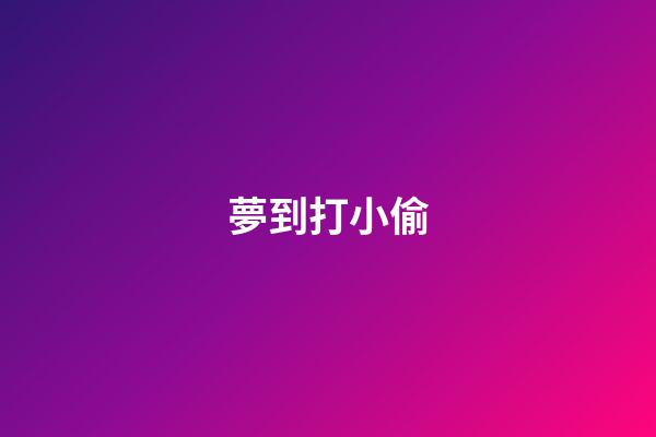 夢到打小偷