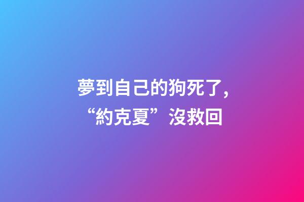 夢到自己的狗死了,“約克夏”沒救回-第1張-觀點-玄機(jī)派