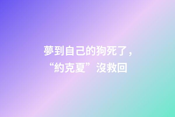 夢到自己的狗死了，“約克夏”沒救回-第1張-觀點-玄機(jī)派