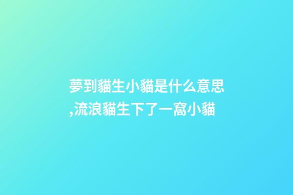 夢到貓生小貓是什么意思,流浪貓生下了一窩小貓-第1張-觀點-玄機派
