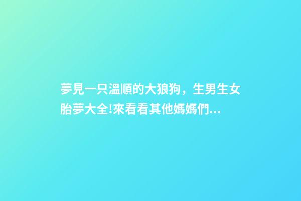 夢見一只溫順的大狼狗，生男生女胎夢大全!來看看其他媽媽們經驗談-第1張-觀點-玄機派