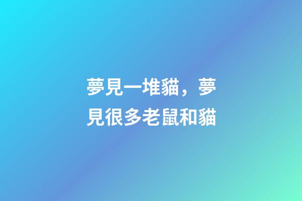 夢見一堆貓，夢見很多老鼠和貓-第1張-觀點(diǎn)-玄機(jī)派