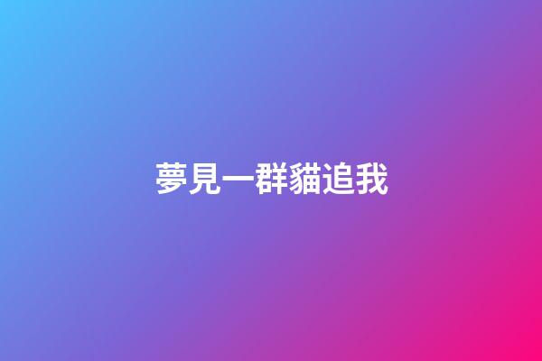 夢見一群貓追我