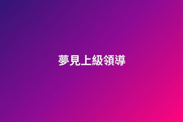 夢見上級領導