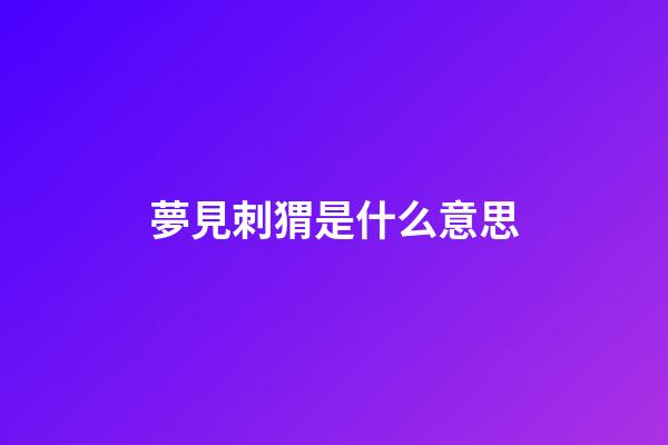 夢見刺猬是什么意思