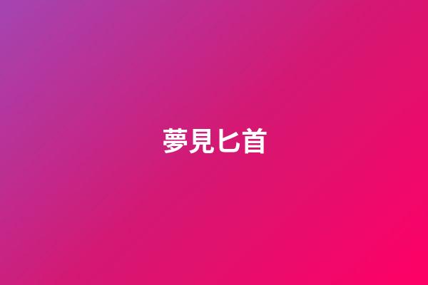 夢見匕首