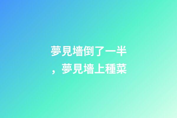 夢見墻倒了一半，夢見墻上種菜-第1張-觀點(diǎn)-玄機(jī)派