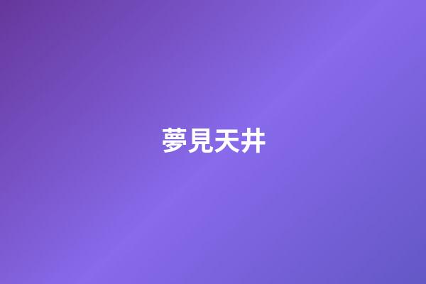 夢見天井