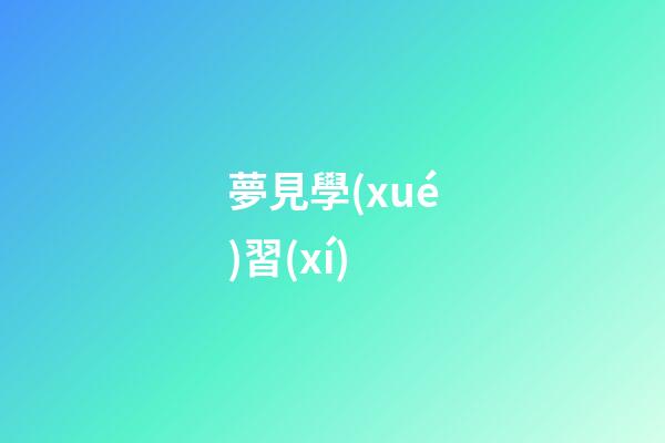 夢見學(xué)習(xí)