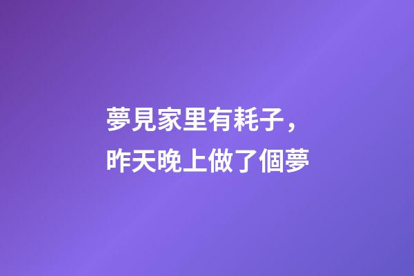 夢見家里有耗子，昨天晚上做了個夢-第1張-觀點-玄機派