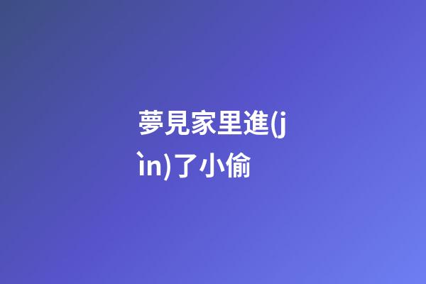 夢見家里進(jìn)了小偷
