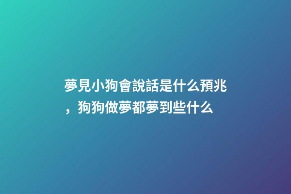夢見小狗會說話是什么預兆，狗狗做夢都夢到些什么-第1張-觀點-玄機派