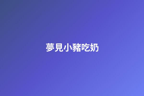 夢見小豬吃奶