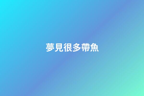 夢見很多帶魚
