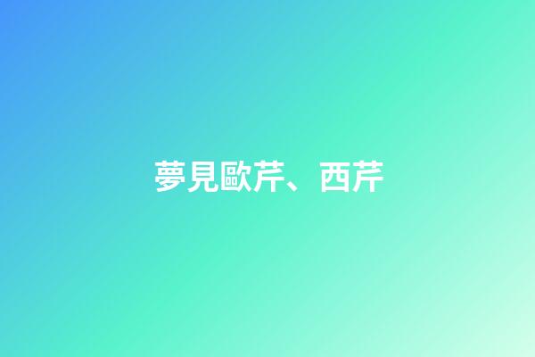夢見歐芹、西芹