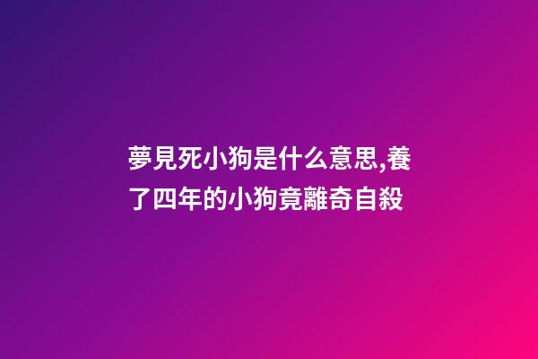 夢見死小狗是什么意思,養了四年的小狗竟離奇自殺-第1張-觀點-玄機派