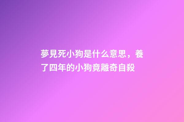 夢見死小狗是什么意思，養了四年的小狗竟離奇自殺-第1張-觀點-玄機派