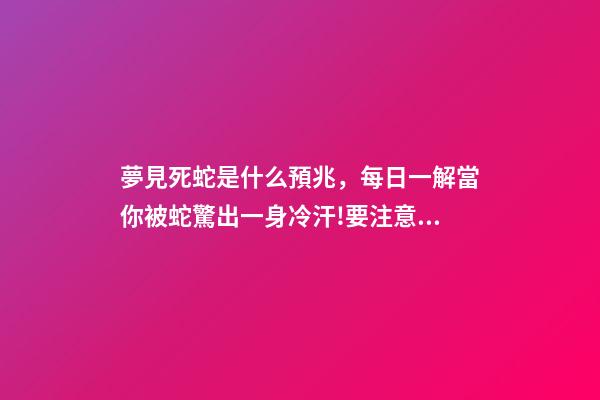 夢見死蛇是什么預兆，每日一解當你被蛇驚出一身冷汗!要注意了!-第1張-觀點-玄機派