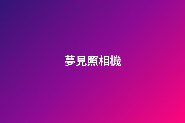 夢見照相機