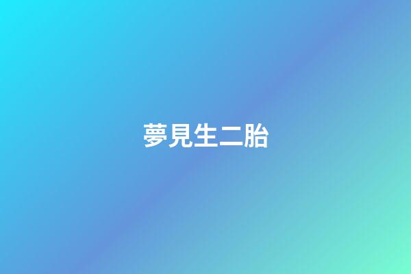 夢見生二胎