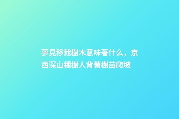 夢見移栽樹木意味著什么，京西深山種樹人背著樹苗爬坡-第1張-觀點-玄機派