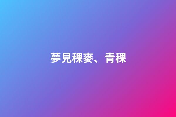 夢見稞麥、青稞
