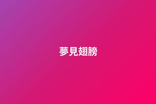 夢見翅膀