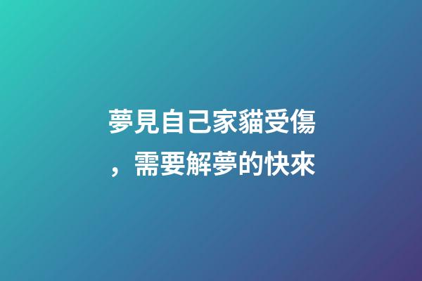 夢見自己家貓受傷，需要解夢的快來-第1張-觀點-玄機派