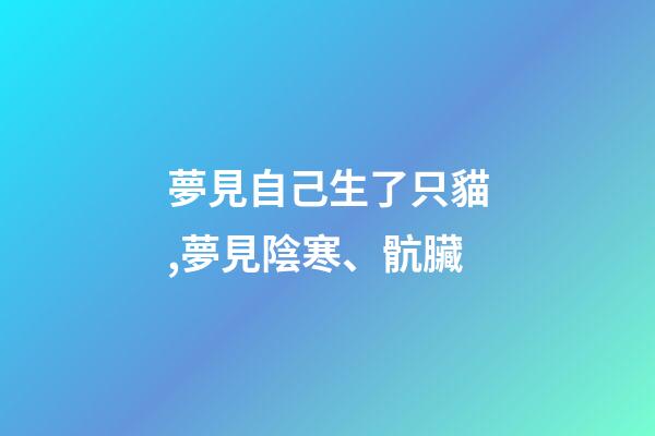 夢見自己生了只貓,夢見陰寒、骯臟-第1張-觀點-玄機派