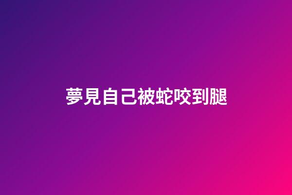 夢見自己被蛇咬到腿