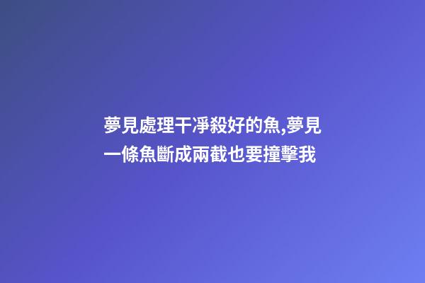 夢見處理干凈殺好的魚,夢見一條魚斷成兩截也要撞擊我-第1張-觀點-玄機派