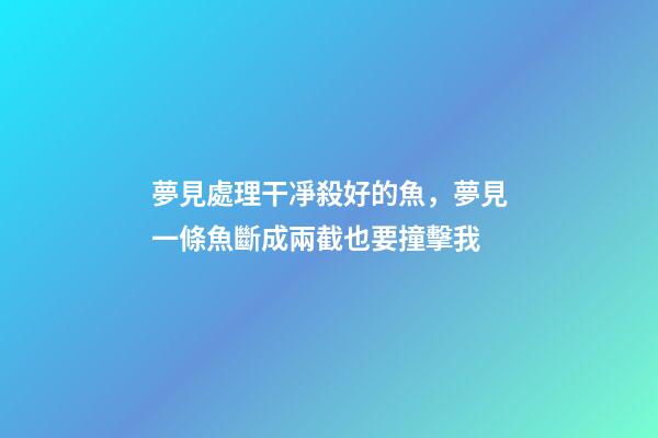 夢見處理干凈殺好的魚，夢見一條魚斷成兩截也要撞擊我-第1張-觀點-玄機派